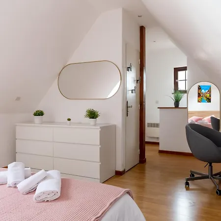 Travel Homes - Tanneur 6, Heart Of Petite Venise Colmar Buitenkant foto