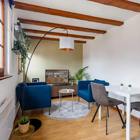 Travel Homes - Tanneur 6, Heart Of Petite Venise Colmar Buitenkant foto